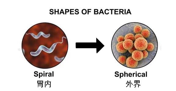 這種致癌物傳染性極強(qiáng)，50%中國(guó)人都有！很多人還不知道